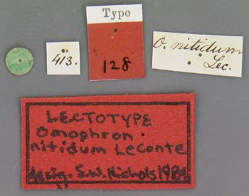 Media type: image;   Entomology 128 Aspect: labels